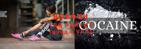 твердый Магас