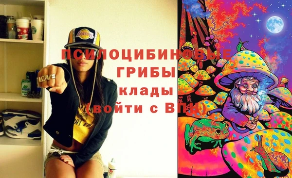 твердый Магас