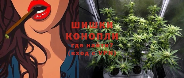 твердый Магас