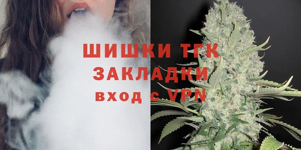 твердый Магас