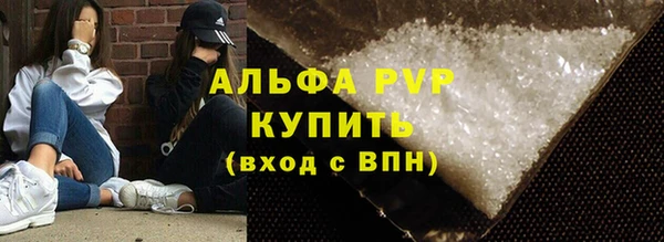 твердый Магас