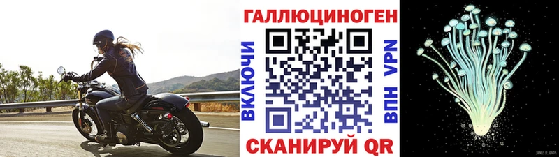 Псилоцибиновые грибы GOLDEN TEACHER  Купить где  Теберда 